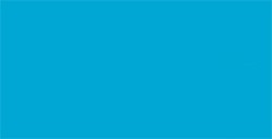 TOMBOW DUAL BRUSH PEN PENNARELLO CON PUNTA A PENNELLO E PUNTA FINA REFLEX BLUE N. 493