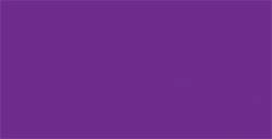 TOMBOW DUAL BRUSH PEN PENNARELLO CON PUNTA A PENNELLO E PUNTA FINA ROYAL PURPLE N. 676