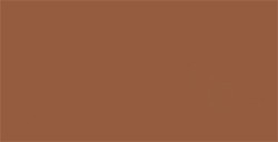 TOMBOW DUAL BRUSH PEN PENNARELLO CON PUNTA A PENNELLO E PUNTA FINA SADDLE BROWN N. 977