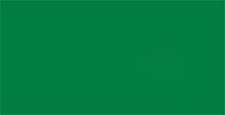 TOMBOW DUAL BRUSH PEN PENNARELLO CON PUNTA A PENNELLO E PUNTA FINA SAP GREEN N. 245