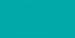 TOMBOW DUAL BRUSH PEN PENNARELLO CON PUNTA A PENNELLO E PUNTA FINA SEA BLUE N. 373