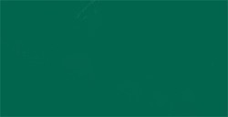 TOMBOW DUAL BRUSH PEN PENNARELLO CON PUNTA A PENNELLO E PUNTA FINA SEA GREEN N. 346