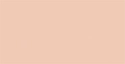 TOMBOW DUAL BRUSH PEN PENNARELLO CON PUNTA A PENNELLO E PUNTA FINA TAN N. 942