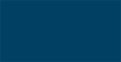 TOMBOW DUAL BRUSH PEN PENNARELLO CON PUNTA A PENNELLO E PUNTA FINA TRUE BLUE N. 526