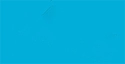 TOMBOW DUAL BRUSH PEN PENNARELLO CON PUNTA A PENNELLO E PUNTA FINA TURQUOISE N. 443