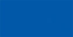 TOMBOW DUAL BRUSH PEN PENNARELLO CON PUNTA A PENNELLO E PUNTA FINA ULTRAMARINE N. 555