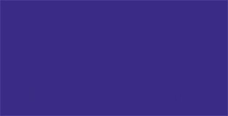 TOMBOW DUAL BRUSH PEN PENNARELLO CON PUNTA A PENNELLO E PUNTA FINA VIOLET N. 606
