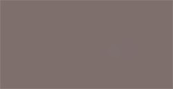 TOMBOW DUAL BRUSH PEN PENNARELLO CON PUNTA A PENNELLO E PUNTA FINA WARM GREY 2 N. N79