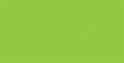 TOMBOW DUAL BRUSH PEN PENNARELLO CON PUNTA A PENNELLO E PUNTA FINA WILLOW GREEN N. 173