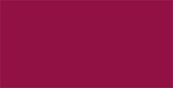 TOMBOW DUAL BRUSH PEN PENNARELLO CON PUNTA A PENNELLO E PUNTA FINA WINE RED N. 837
