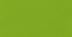 GUARRO IRIS CARDBOARD 185 G POOL GREEN NO. 19