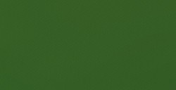 CANSON GUARRO IRIS CARTONCINO 185 G - VERDE AMAZZONIA N. 21