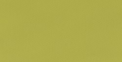 GUARRO IRIS CARDBOARD 185 G KIWI NO. 88