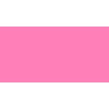 PENTEL COLOUR BRUSH PENNELLO NYLON RICARICABILE INCHIOSTRO ROSA (GFL-109)
