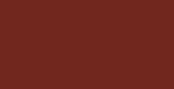 PENTEL COLOUR BRUSH PENNELLO NYLON RICARICABILE INCHIOSTRO MARRONE (GFL-106)