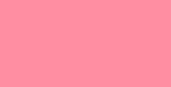 PENTEL COLOUR BRUSH PENNELLO NYLON RICARICABILE INCHIOSTRO ROSA CORALLO (GFL--165)