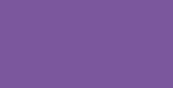 PENTEL COLOUR BRUSH PENNELLO NYLON RICARICABILE INCHIOSTRO VIOLETTO (GFL-166)