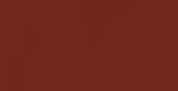 PENTEL COLOR BRUSH CARTOUCHE D'ENCRE POUR PINCEAU NYLON RECHARGEABLE - BRUN (FR-106)