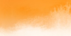 AQUARIUS ROMAN SZMAL EXTRA FINE WATERCOLOR - HANSA YELLOW DEEP - SERIE 2 - Nº 207