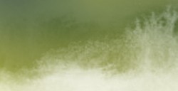 AQUARIUS ROMAN SZMAL EXTRA FINE WATERCOLOR - HOOKER'S GREEN - SERIE 3 - Nº 342