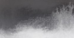 ROMAN SZMAL AQUARIUS ACQUERELLO EXTRAFINE NEUTRAL TINT SERIE 2 N. 244