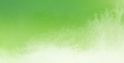 ROMAN SZMAL AQUARIUS ACQUERELLO EXTRAFINE PERMANENT GREEN LIGHT SERIE 2 N. 231