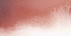 AQUARIUS ROMAN SZMAL EXTRA FINE WATERCOLOR - PERYLENE RED DEEP - SERIE 3 - Nº 375