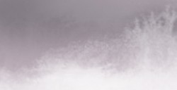 ROMAN SZMAL AQUARIUS EXTRA FINE WATERCOLOUR PRZYBYSZ'S GREY SERIES 4 NO. 401