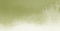 AQUARIUS ROMAN SZMAL EXTRA FINE WATERCOLOR - SAP GREEN LIGHT - SERIE 2 - Nº 252