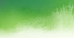 AQUARIUS ROMAN SZMAL EXTRA FINE WATERCOLOR - SAP GREEN - SERIE 2 - Nº 233