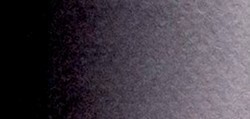 ROSA GALLERY AQUARELLE GODET NOIR RAISIN Nº 747