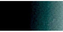 ROSA GALLERY AQUARELLE GODET VERT NOIR Nº 760