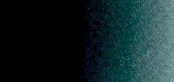 ROSA GALLERY AQUARELLE GODET VERT NOIR Nº 760