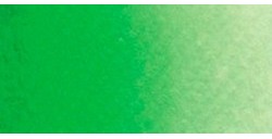 ROSA GALLERY AQUARELLE TUBE VERT VIF Nº 739