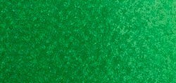 ROSA GALLERY AQUARELLE TUBE VERT DE VESSIE Nº 728
