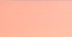 LA PAJARITA CHROMA COLOR ROSA RETRATO CC-39