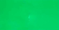 LA PAJARITA CHROMA COLOR VERT MOYEN CC-24