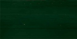 LA PAJARITA CHROMA COLOR VERDE VEJIGA CC-21