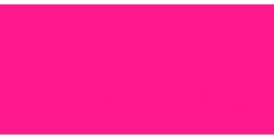 LA PAJARITA FASHION TEXTIL SPRAY ROSA FLUO TS-15