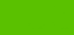 LA PAJARITA FASHION TEXTIL SPRAY VERDE FLUOR TS-16