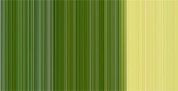 SCHMINCKE MUSSINI COLORI AD OLIO TUBETTO TRANSLUCENT GOLDEN GREEN SERIE 3 N. 534