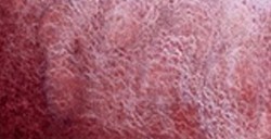 SCHMINCKE HORADAM SUPER GRANULATION VOLCANO VIOLET NR. 914