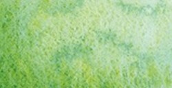 SCHMINCKE HORADAM SUPER GRANULATION SHIRE GREEN NR. 933