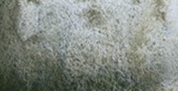 SCHMINCKE HORADAM SUPER GRANULATION GRIS PRADERA Nº 935