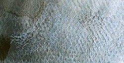 SCHMINCKE HORADAM SUPER GRANULATION NEGRO GLACIAR Nº 965