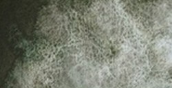 SCHMINCKE HORADAM SUPER GRANULATION NEGRO NIEBLA Nº 970
