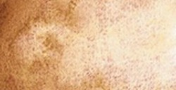 SCHMINCKE HORADAM SUPER GRANULATION NARANJA TUNDRA Nº 981