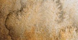 SCHMINCKE HORADAM SUPER GRANULATION HALBES NÄPFCHEN DESERT BROWN NR. 923