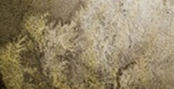 SCHMINCKE HORADAM SUPER GRANULATION HALBES NÄPFCHEN DESERT GREY NR. 925