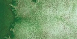 SCHMINCKE HORADAM SUPER GRANULATION HALBES NÄPFCHEN FOREST GREEN NR. 942